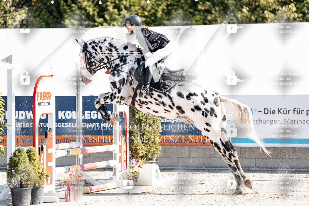 CK905016 | Turnierfotografie Pferdefotografie Trier Rheinland-Pfalz Pferdesport Reitsport Tierfotografie Sportfotografie Pferdevideo Pferdevideografie Equestrianvideography equestrianphotography  - Realisiert mit Pictrs.com