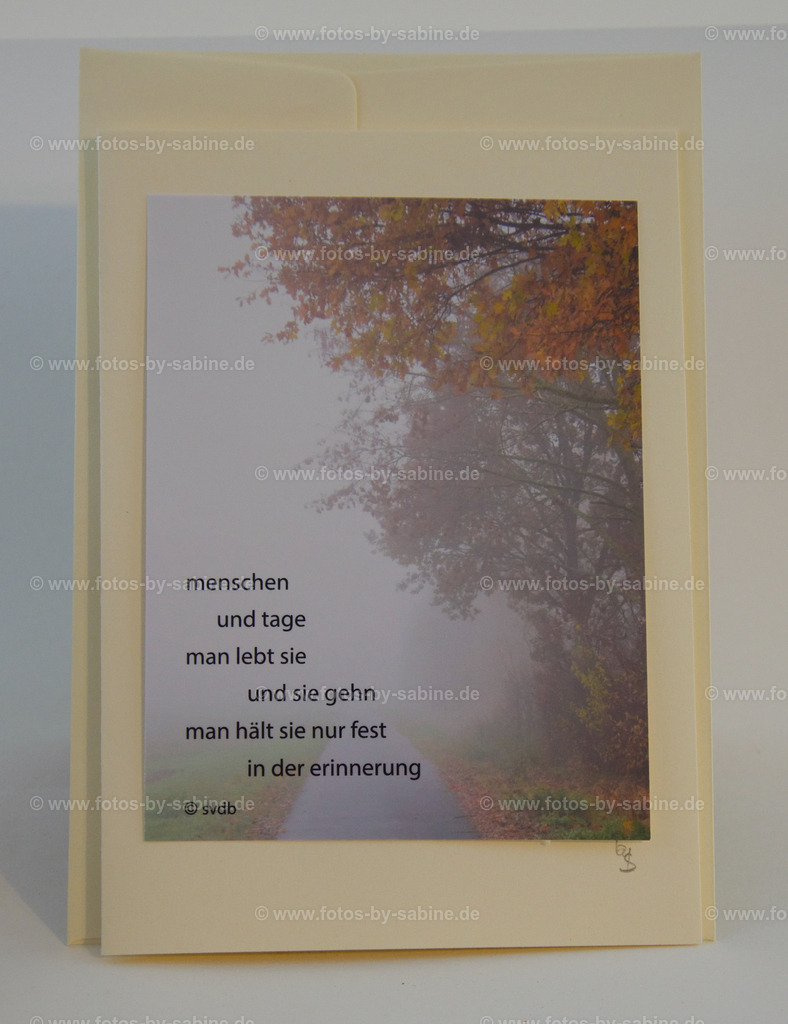 DSC_9069 | fotos-by-sabine - Realisiert mit Pictrs.com