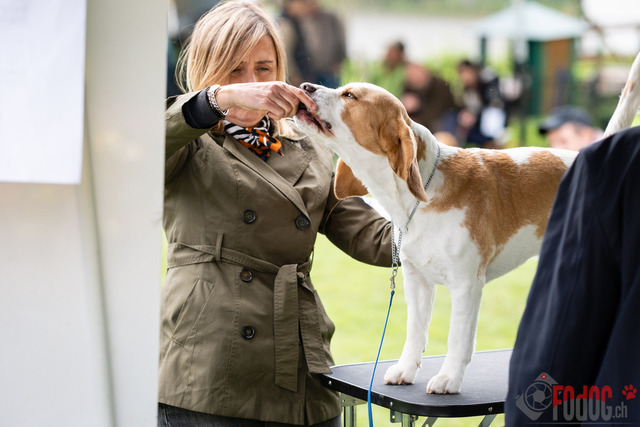 Clubsiegershow BCS  | Clubsiegershow BCS in Villmergen. 14.05.2023 Foto: Leo Wyden