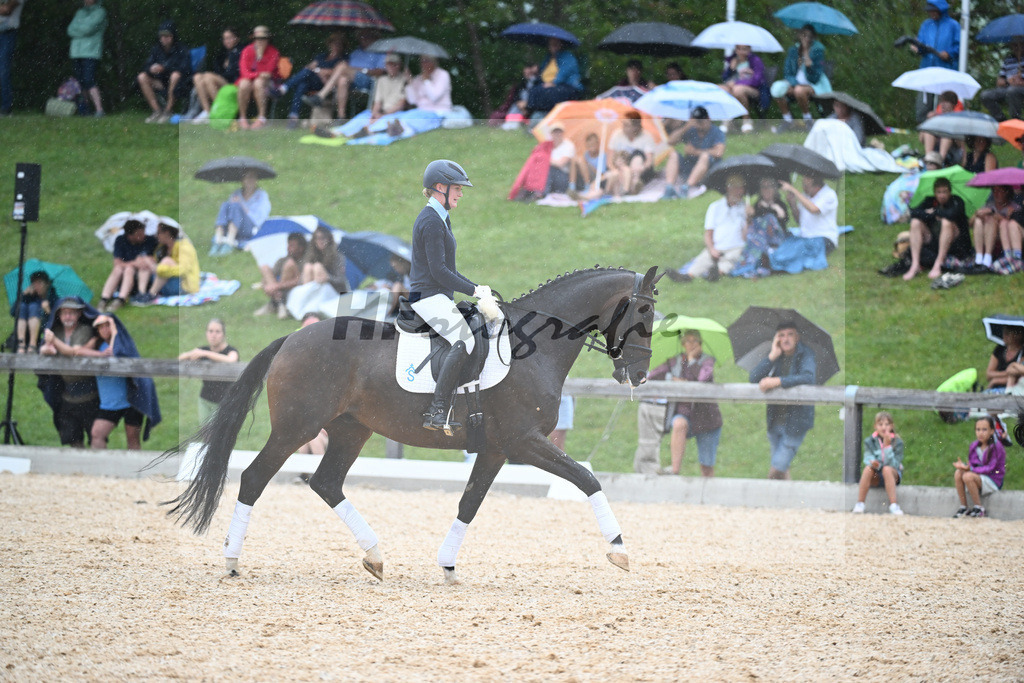 Sparten des Reitsports aus der eigenen Zucht_36240946 | hf-fotografie - Realisiert mit Pictrs.com