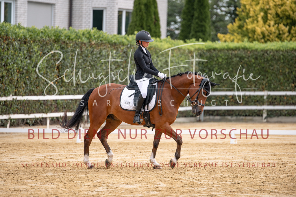 Schugtsche-Aluta25-40.DressurprfA_-313 | Schugtsche Fotografie - Realisiert mit Pictrs.com
