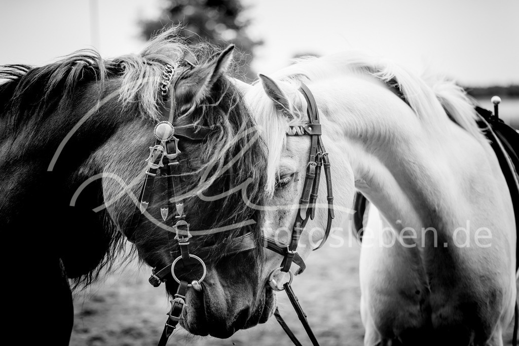 846A0440 | fotosleben - Realisiert mit Pictrs.com