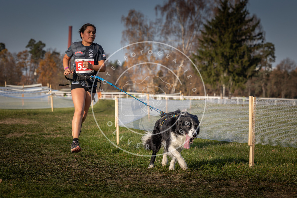 CaniXpix_0L8A9426 | Hundefotografie, Tierfotograf, Pfotenfotografie, Fotoshooting Hund, Hunde Portrait, Hundesport, Hundeportraits, Heideshooting, Hunde, Sportfotograf, Hundefotograf, Turnierhundsport, THS,  - Realisiert mit Pictrs.com