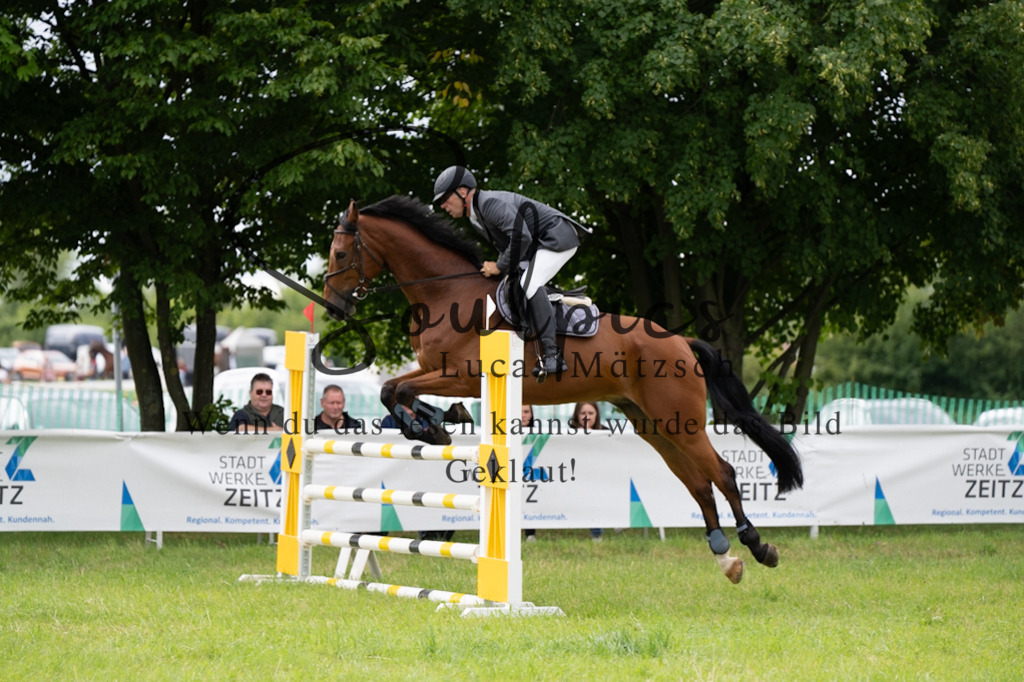 A7V03993 | Pferdefotograf