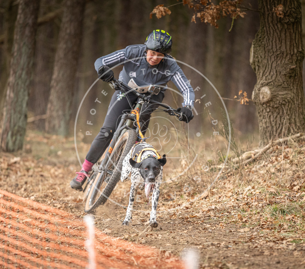 Pfotenfotografie_DV3A2779 | Hundefotografie, Tierfotograf, Pfotenfotografie, Fotoshooting Hund, Hunde Portrait, Hundesport, Hundeportraits, Heideshooting, Hunde, Sportfotograf, Hundefotograf, Turnierhundsport, THS,  - Realisiert mit Pictrs.com