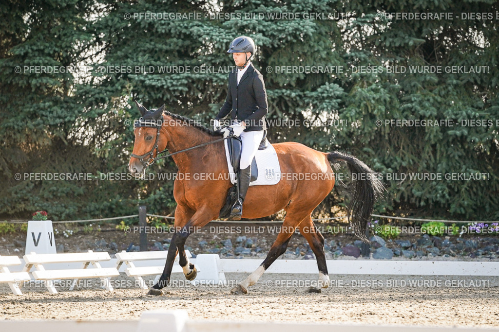 DSC08385 | Pferdegrafie