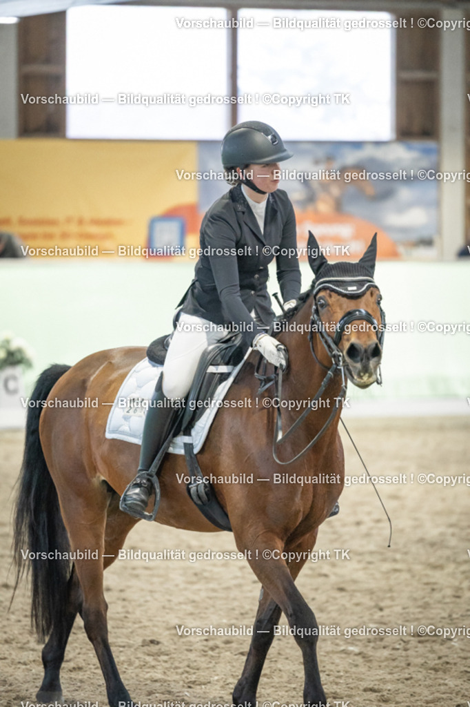 _D5A3596 | Emotionale Pferde- & People-Fotografie rund um Heidelberg, Leimen & Umgebung. Natürliche Fotos von Pferd, Mensch & Familie. Jetzt Termin sichern!