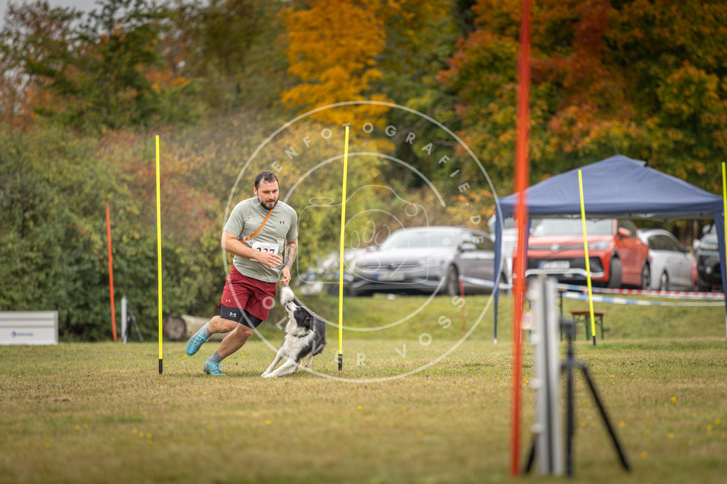 Pfotenfotografie_DV3A5274 | Hundefotografie, Tierfotograf, Pfotenfotografie, Fotoshooting Hund, Hunde Portrait, Hundesport, Hundeportraits, Heideshooting, Hunde, Sportfotograf, Hundefotograf, Turnierhundsport, THS,  - Realisiert mit Pictrs.com