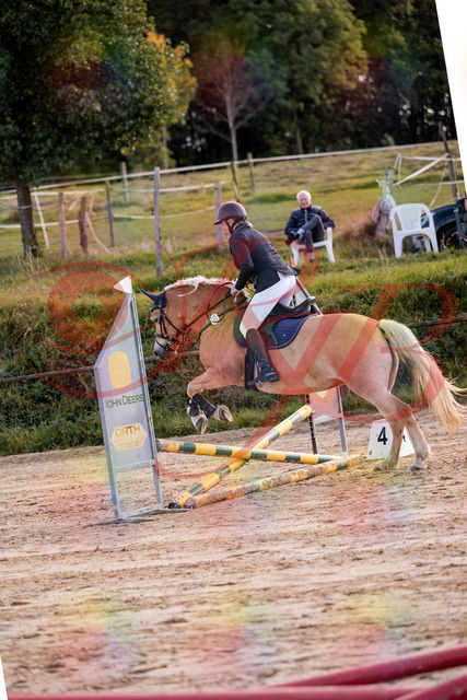 2026_10_03_Siefer-Hof_145305_Z81_32645341 | Professionelle Reitsport-, Turnier- und Eventfotografie von Robert Broda. Galerien mit ausgewählten und bearbeiteten Bildern direkt online ansehen und bestellen.