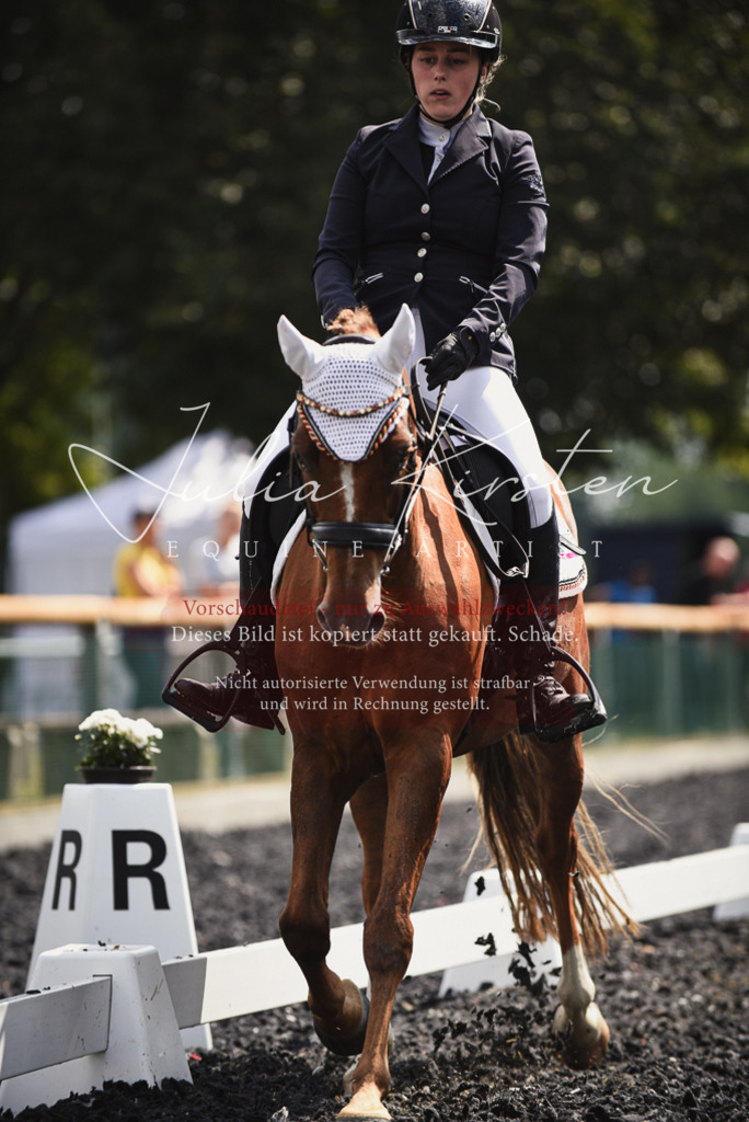 DSC_4219 | Pferde- und Turnierfotografie in Westsachsen. Pferdeportraits, Auftragszeichnungen und intuitive Kunst.