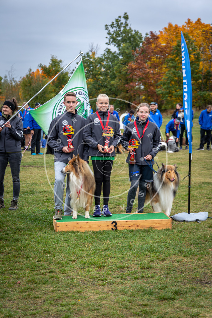 Pfotenfotografie_0L8A0686 | Hundefotografie, Tierfotograf, Pfotenfotografie, Fotoshooting Hund, Hunde Portrait, Hundesport, Hundeportraits, Heideshooting, Hunde, Sportfotograf, Hundefotograf, Turnierhundsport, THS,  - Realisiert mit Pictrs.com