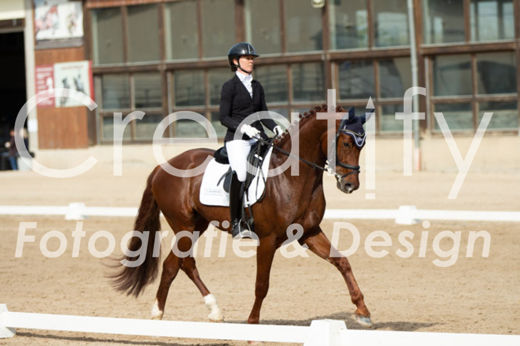 IMG_1010 | Creatify Fotografie