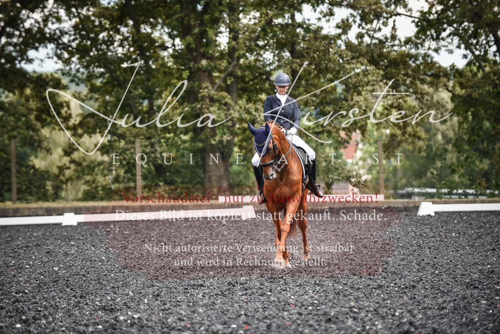 DSC_5026 | Pferde- und Turnierfotografie in Westsachsen. Pferdeportraits, Auftragszeichnungen und intuitive Kunst.