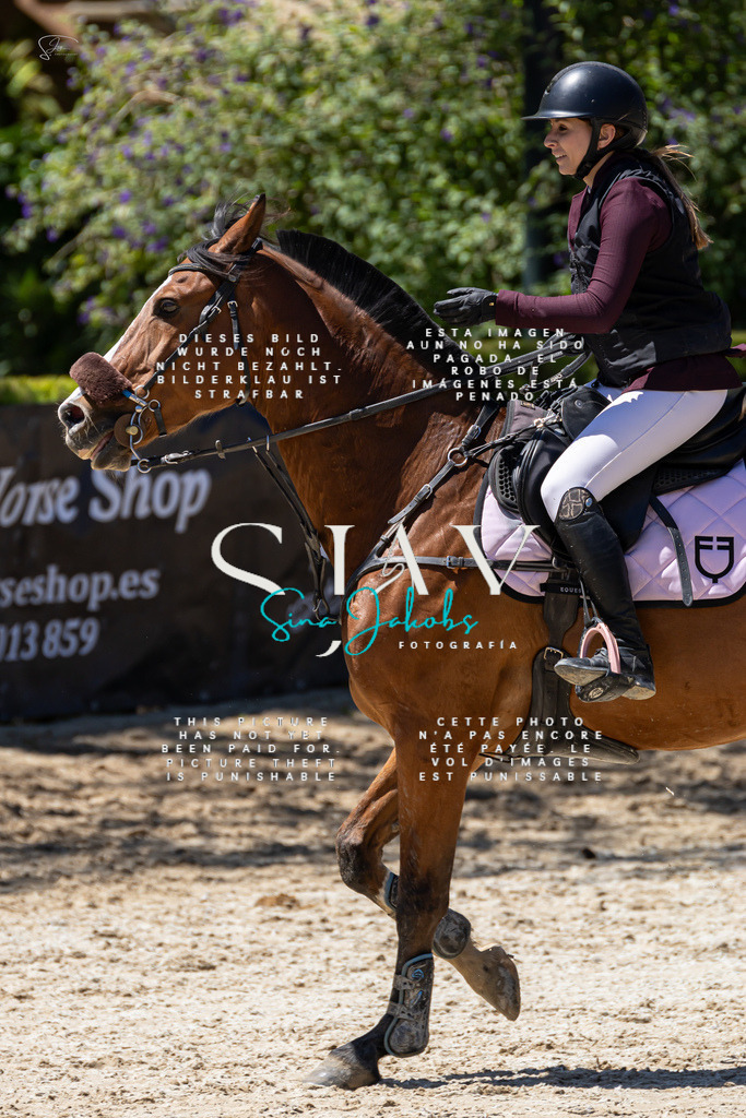 IMG_0167 | s-jay-photography - Realisiert mit Pictrs.com