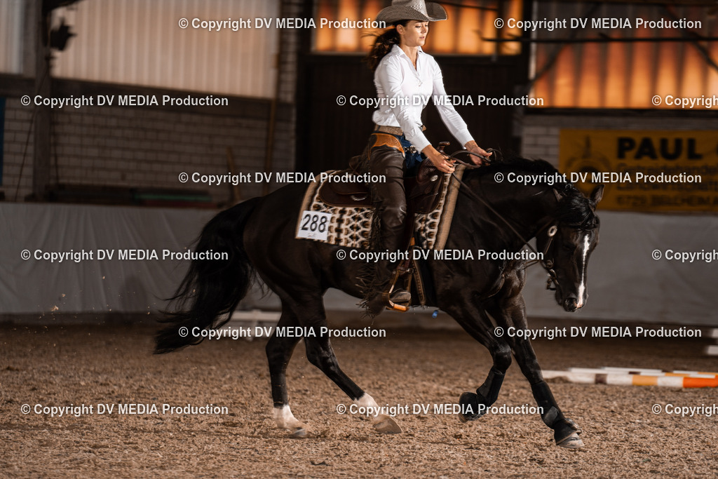 ZH300240 | dv-media-shop - Realisiert mit Pictrs.com