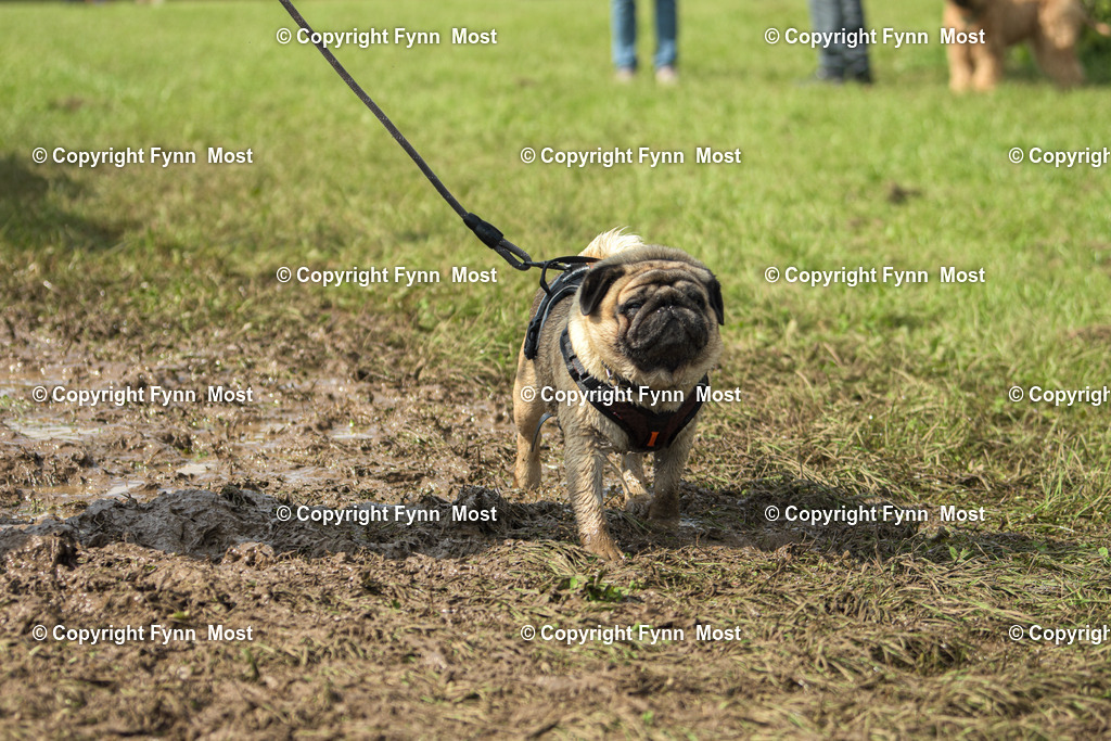 DSC_0238 | Hallo und herzlich Willkommen auf meiner Shop-Seite Fynn Most.

Ich wünsche Dir viel Spaß beim stöbern durch die Bilder, wenn Du Fragen hast oder Bilder vermisst, kannst du mir gerne eine Nachricht schreiben. - Realisiert mit Pictrs.com