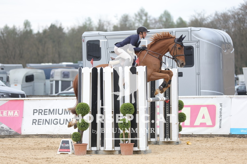 0P6A3851 | Willkommen bei Brunnmayr - Design & Fotografie – Ihrem Spezialisten für Reitturniere und Pferdeveranstaltungen in Oberösterreich, Salzburg und Bayern! Seit über 17 Jahren sind wir leidenschaftlich dabei.