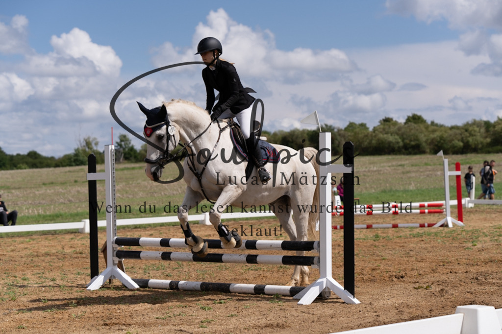 A7V03135 | Pferdefotograf