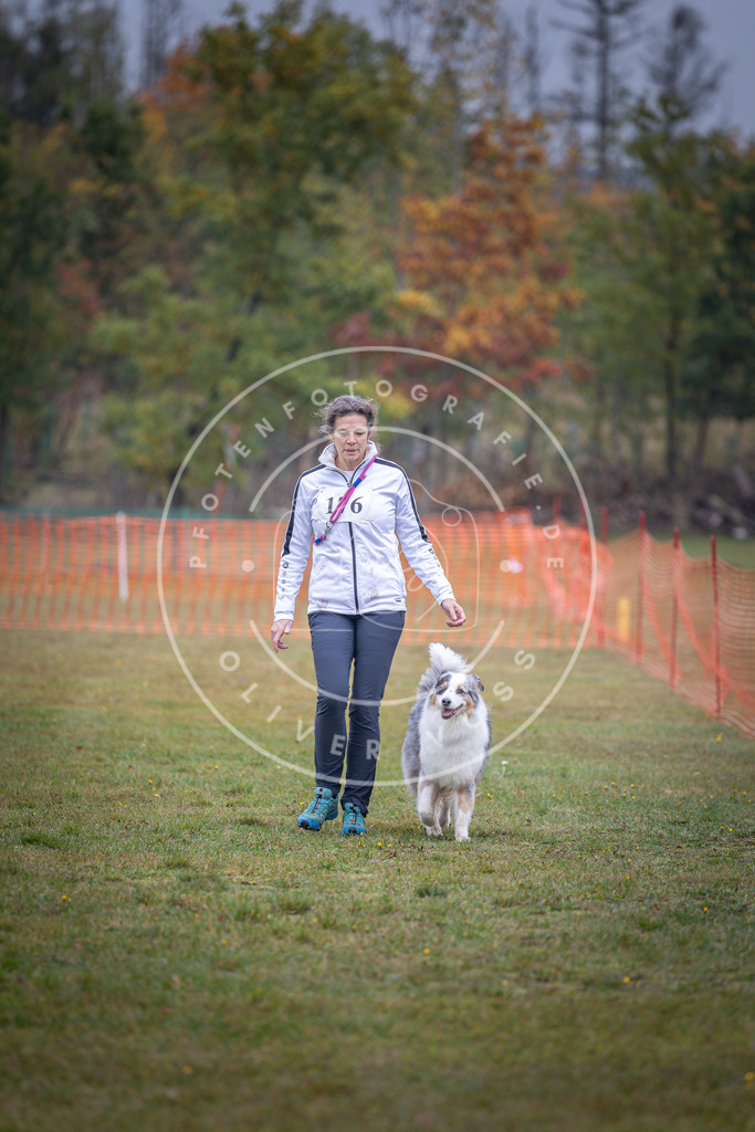 Pfotenfotografie_DV3A9367 | Hundefotografie, Tierfotograf, Pfotenfotografie, Fotoshooting Hund, Hunde Portrait, Hundesport, Hundeportraits, Heideshooting, Hunde, Sportfotograf, Hundefotograf, Turnierhundsport, THS,  - Realisiert mit Pictrs.com