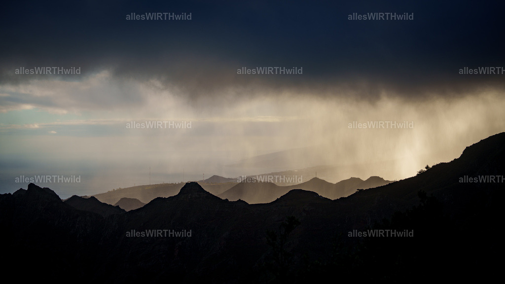 allesWIRTHgut Tierfotografie - allesWIRTHgut.de - 7IV06879 | Entdecke die faszinierende Welt der Natur- und Wildlife-Fotografie von Daniel und Bärbel. Inspirierende Bilder von wilden Tieren und kleinen Naturwundern.