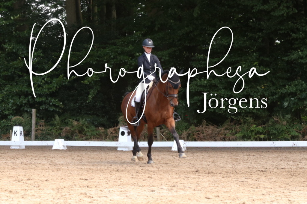 IMG_0420 | photographesa-joergens - Realisiert mit Pictrs.com