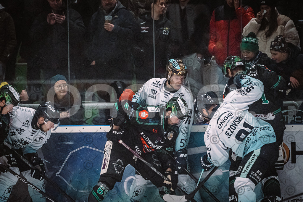 Alligators_vs_Lindau_21_12_2025-100 | Höchstadt Alligators Fotogalerie: Eishockey-Action aus Franken. Professionelle Spielfotos, Portraits & Stadionbilder zum Download. Jetzt entdecken! - Realisiert mit Pictrs.com