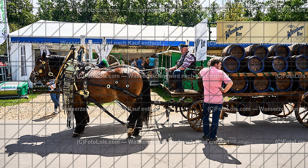 ALP9493_MESSE_LAND-FORST-JAGD_Wieselburger PferdeBierwagen | (C)FotoLois.com, Alois Spandl, WIESELBURGER MESSE LAND-FORST-JAGD, Eröffnung mit Messerundgang mit BM Norbert Totschnig, LH Johanna Mickl-Leitner, LH-Stv. Stephan Pernkopf, LLK Johannes Schmuckenschlager, GF Marion Heim, Hannes Heindl, Bgm. Josef Leitner, Bgm. Franz Rafetseder, ..., Do 6. Juni 2024.