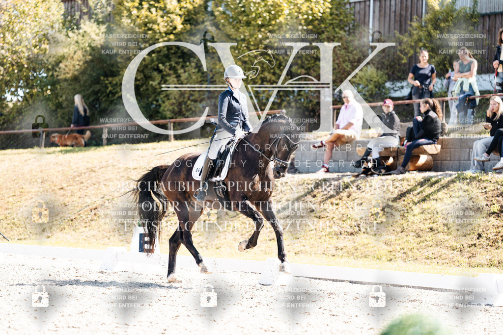 CK903458 | Turnierfotografie Pferdefotografie Trier Rheinland-Pfalz Pferdesport Reitsport Tierfotografie Sportfotografie Pferdevideo Pferdevideografie Equestrianvideography equestrianphotography  - Realisiert mit Pictrs.com