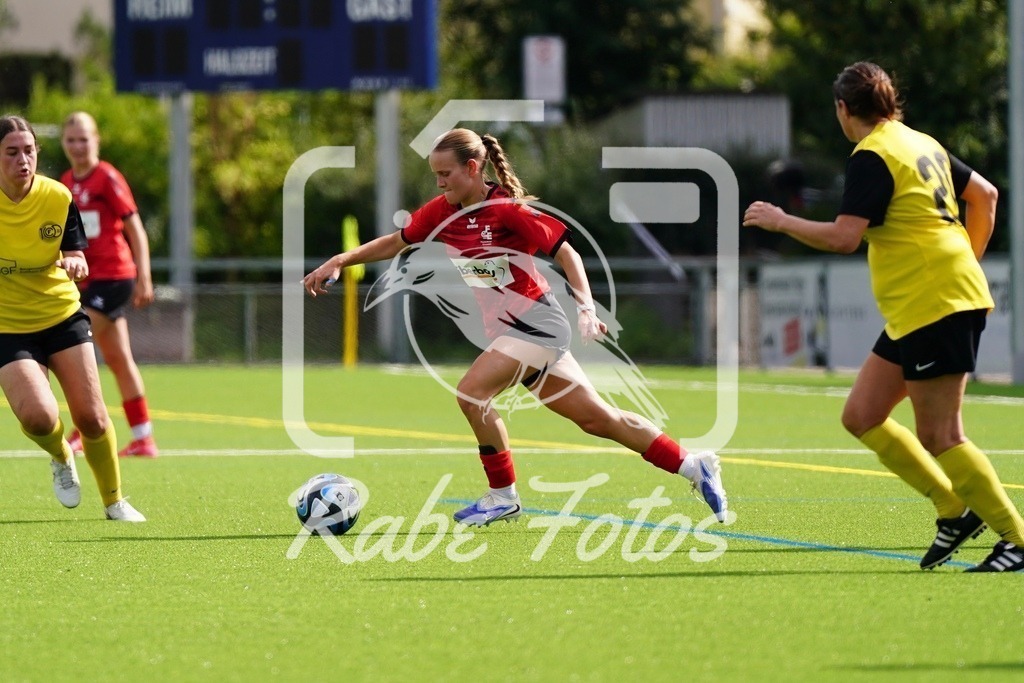 SON08822 | rabefotos