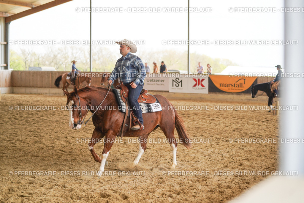 DSC01492 | Pferdegrafie