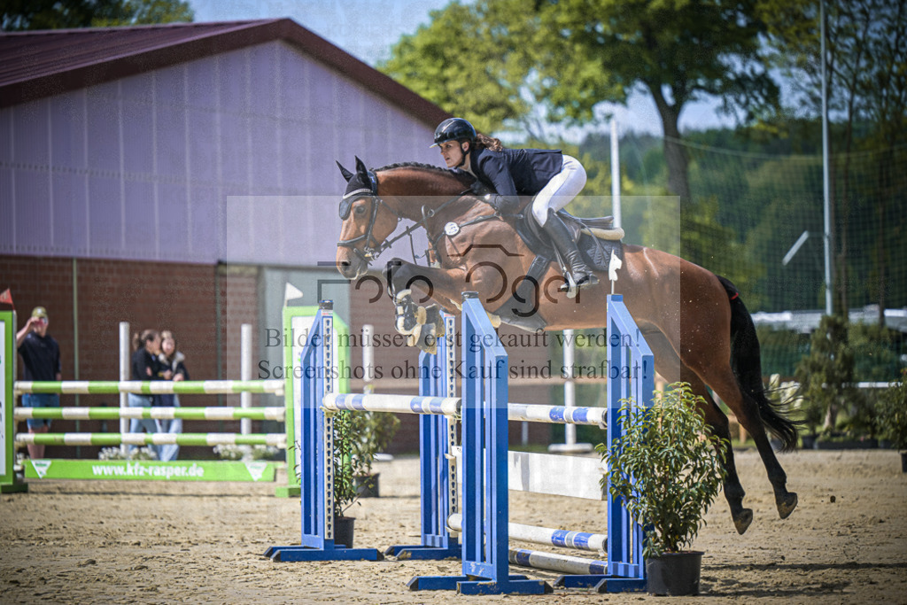 DOS_8006 | Entdecke hochwertige Reitturnierfotos von Foto Oger. Professionell, emotional und authentisch – jetzt Lieblingsmomente im Shop bestellen.Deutschlandweite Turnierfotografie. - Realisiert mit Pictrs.com