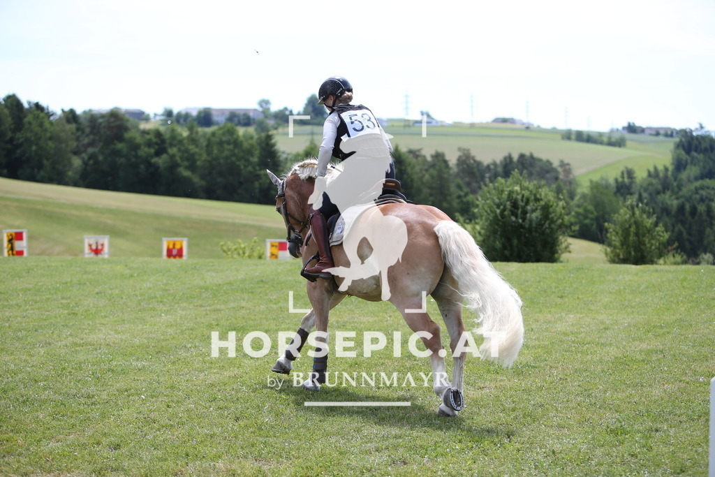 PP014695 | Willkommen bei Brunnmayr - Design & Fotografie – Ihrem Spezialisten für Reitturniere und Pferdeveranstaltungen in Oberösterreich, Salzburg und Bayern! Seit über 17 Jahren sind wir leidenschaftlich dabei.