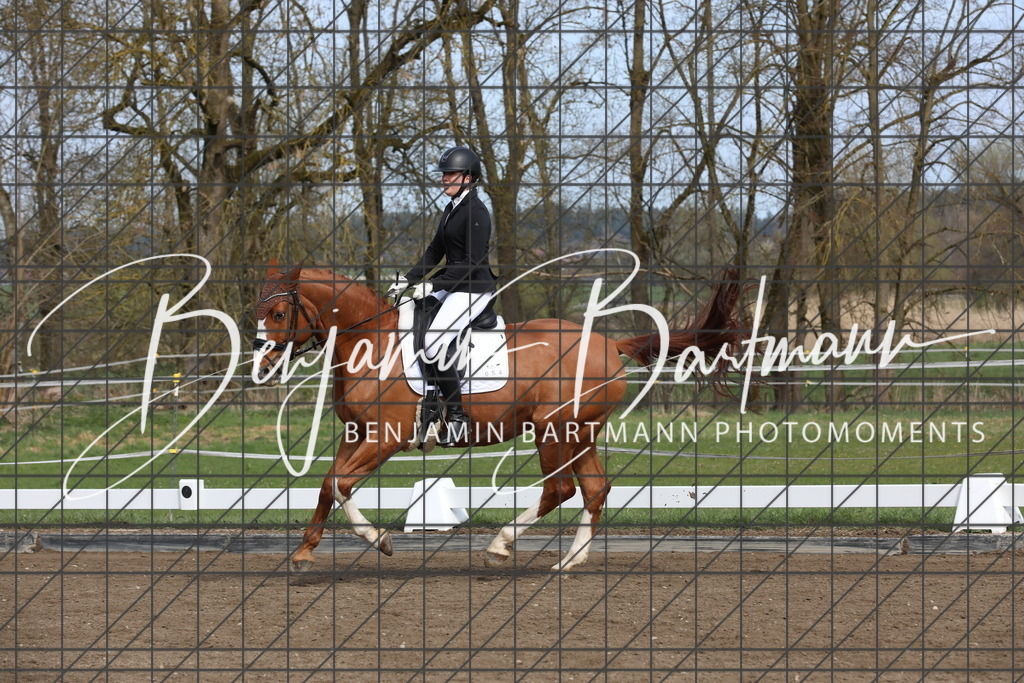 AZ2A4377 | Benjamin Bartmann Photomoments