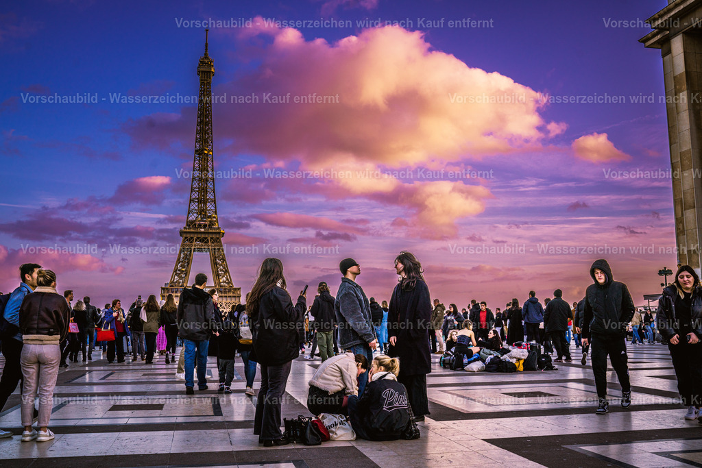 DSC09303 | marcuslinek