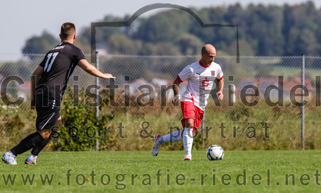 2023-09-17_057_SG_Anzing-Parsdorf_II_gegen_TSV_Zorneding_II | Anzing, Deutschland, 17.09.2023:
Fußball, A-Klasse 2023 / 2024, 5. Spieltag, Endergebnis: 1:1

Darren Hermes ((SG) Anzing-Parsdorf, #11), Thomas Holzmann (TSV Zorneding, #7)

Foto: Christian Riedel / fotografie-riedel.net