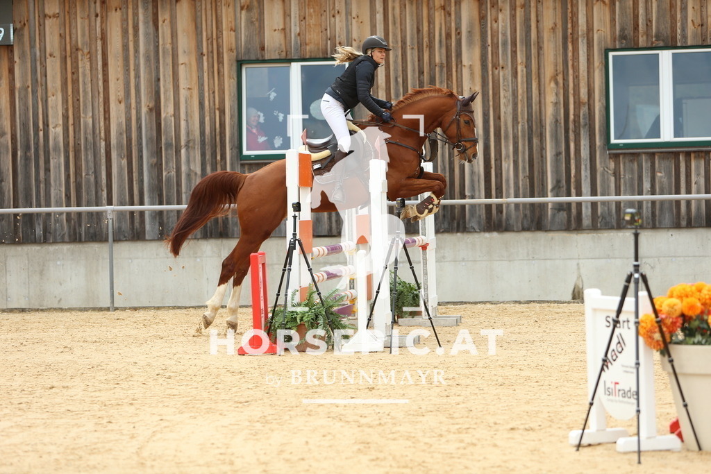 DL2Q2118 | Willkommen bei Brunnmayr - Design & Fotografie – Ihrem Spezialisten für Reitturniere und Pferdeveranstaltungen in Oberösterreich, Salzburg und Bayern! Seit über 17 Jahren sind wir leidenschaftlich dabei.