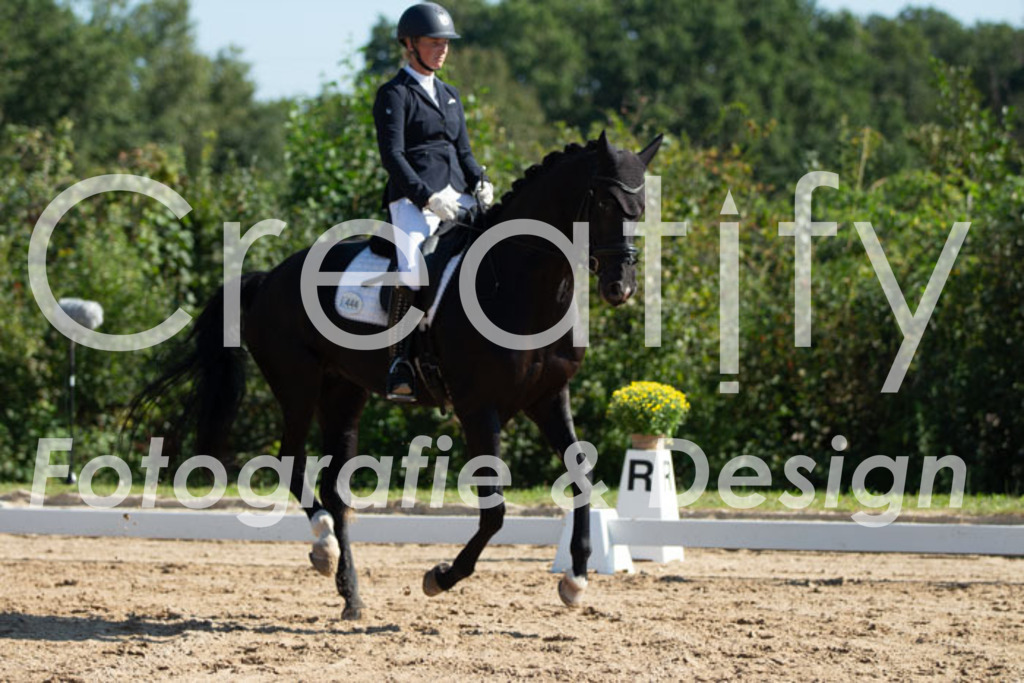 IMG_3291 | Creatify Fotografie