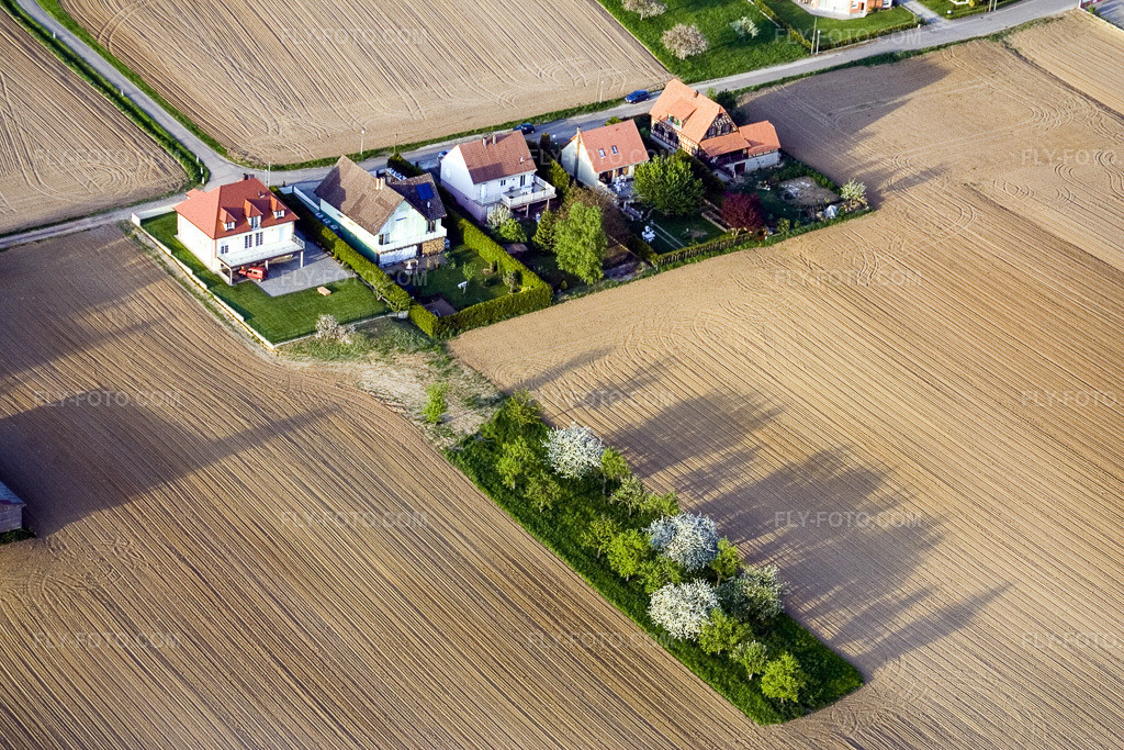 Aerial view: View of the town in Reimerswiller in the state Bas-Rhin, France. – Photo: IMG_10651.jpg taken on 05/04/2008 by Werner Riehm/FLY-FOTO.com – Resolution of the original: 3456 x 2304 px