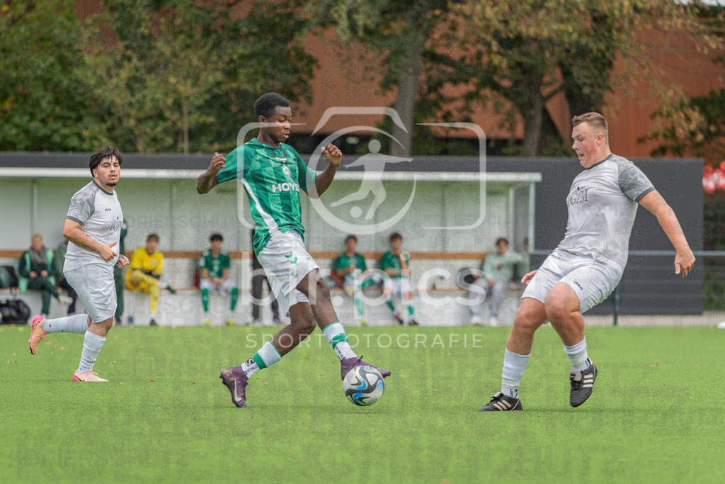 SV Werder Bremen - SV Grohn | SV Werder Bremen - SV Grohn