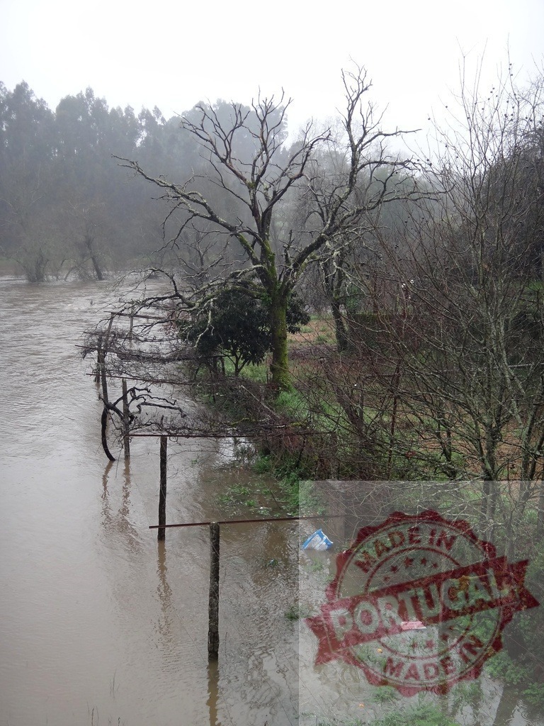 River flooding rural landscape with bare trees. Portugal floods 02.26 - Paco de Sousa, Penafiel | River flooding agricultural land after heavy rain, creating a natural disaster scene - Realisiert mit Pictrs.com