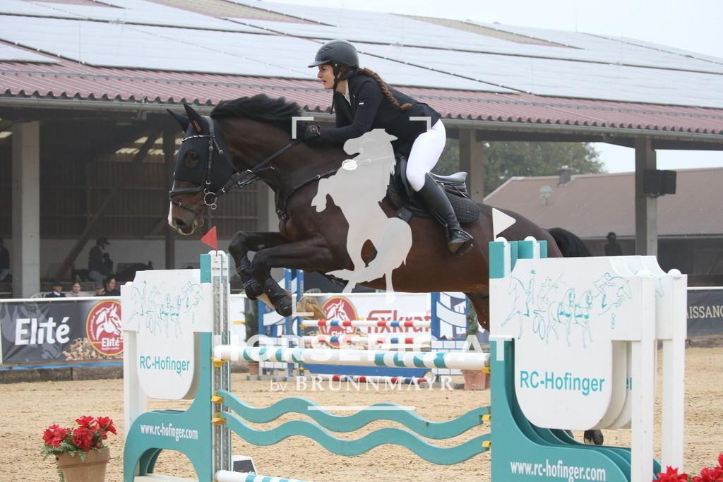 DL2Q3425 | Willkommen bei Brunnmayr - Design & Fotografie – Ihrem Spezialisten für Reitturniere und Pferdeveranstaltungen in Oberösterreich, Salzburg und Bayern! Seit über 17 Jahren sind wir leidenschaftlich dabei.