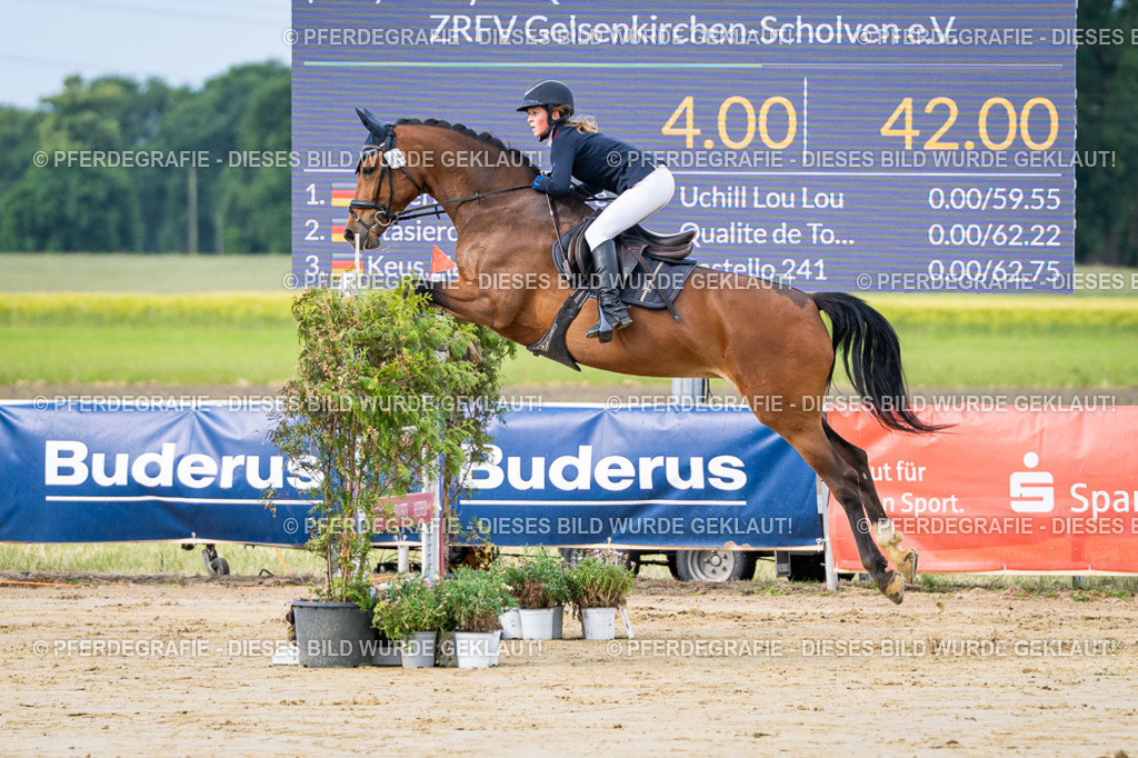 DSC03539 | Pferdegrafie