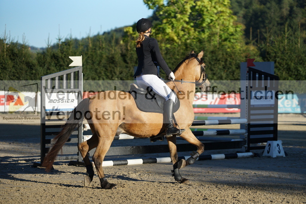 DSC08055 | equestrian-live-com