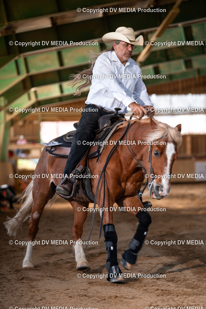 Balingen Tag 2-1237 | dv-media-shop - Realisiert mit Pictrs.com