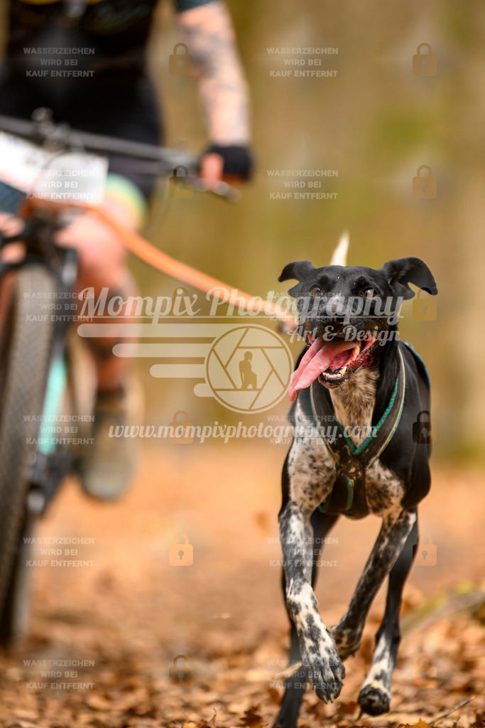 MompixPhotography_Habay2025_SA_Bike-129 | mompixphotography