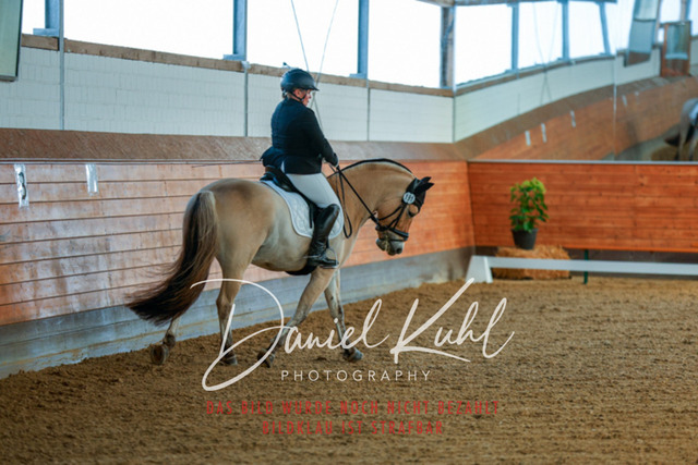 _62_6509 | Turniersportfotografie; Pferdefotografie; Dressurfotografie