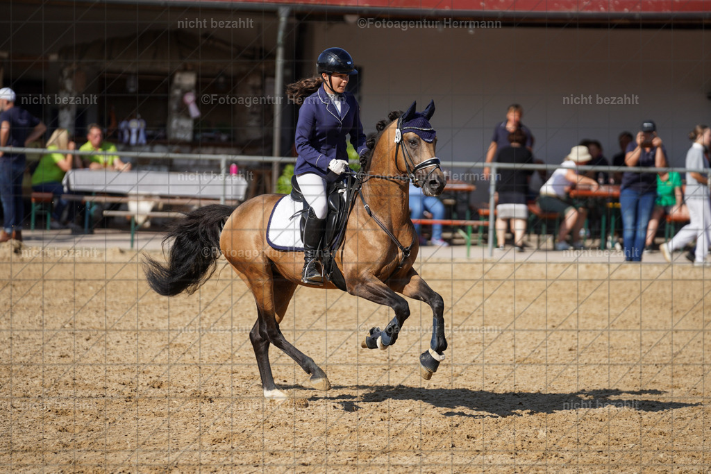 20240824-FAH07327 | Thierhaupten 2024, Bayerisches Landesponyturnier, Turnierbilder, Ponybilder, Turnierfotografen Bayern, Fotoagentur Herrmann