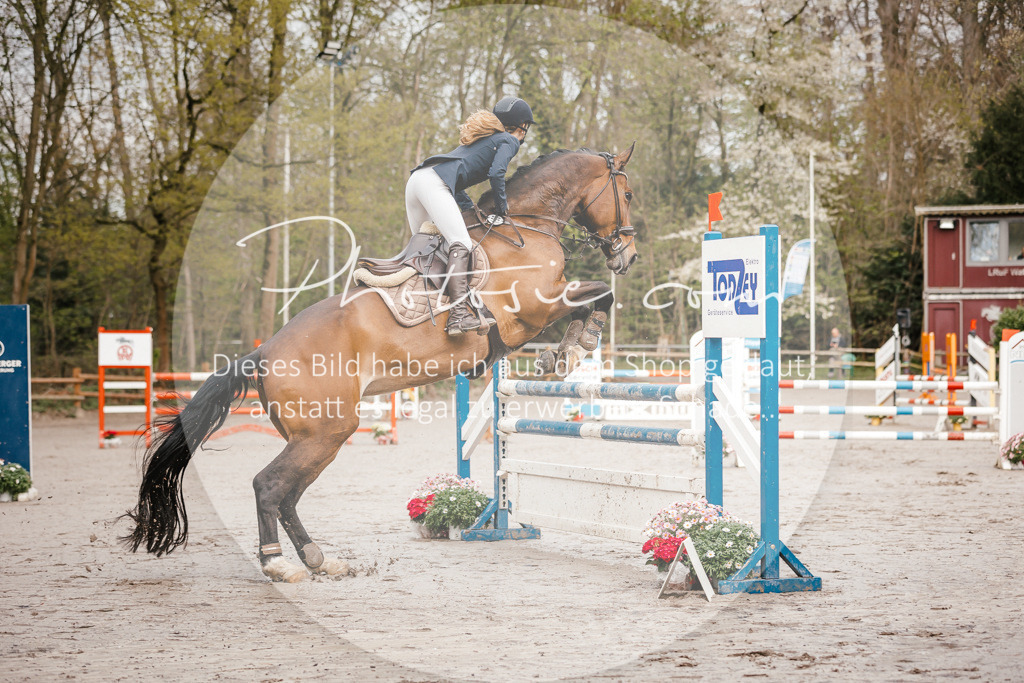 3I6A3158 | Stimmungsvolle Portraits und Reitsportfotografie im Ruhrgebiet und im Münsterland.

Pferdefotografie, Hundefotografie, Tierfotografie, Reportagen, Portraits von Tier und Mensch, Turnierfotografie in Bochum, Recklinghausen, Marl, Haltern am See, Dülmen.. - Realisiert mit Pictrs.com