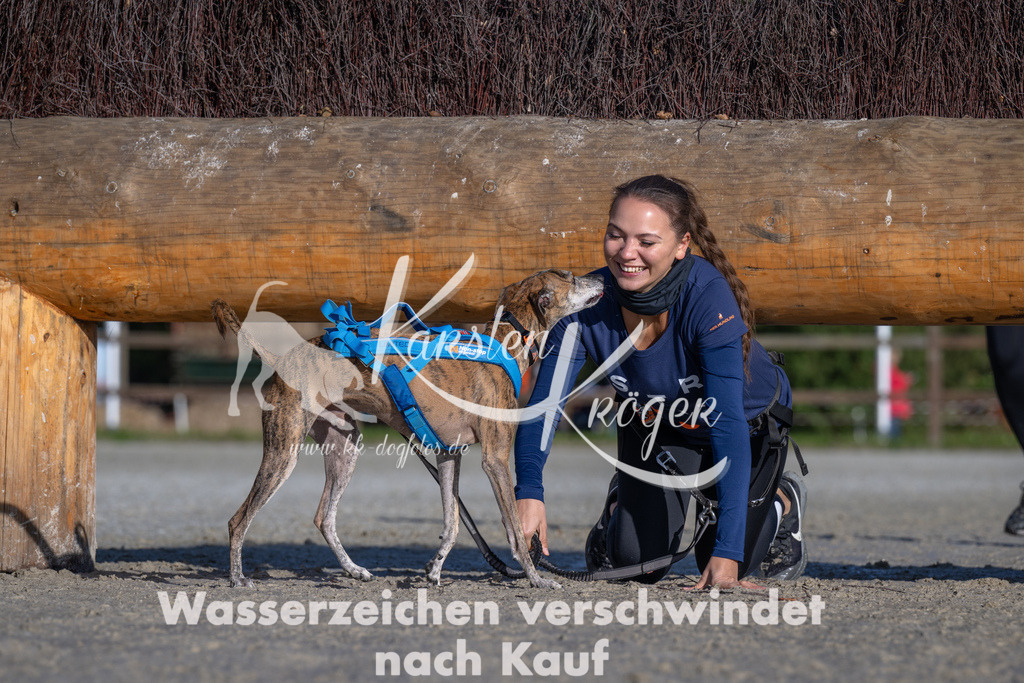 1050-_ZZ92978 | kk-dogfotos