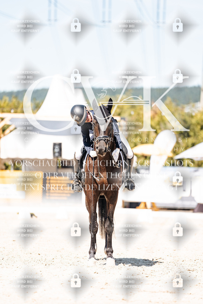 CK900333 | Turnierfotografie Pferdefotografie Trier Rheinland-Pfalz Pferdesport Reitsport Tierfotografie Sportfotografie Pferdevideo Pferdevideografie Equestrianvideography equestrianphotography  - Realisiert mit Pictrs.com